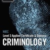 Criminology Level 3